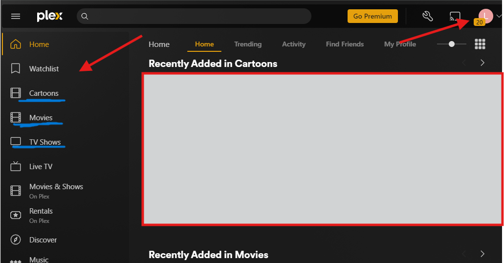 Plex Library